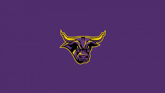 Minnesota State Men's Hockey