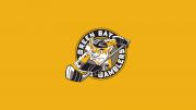 Green Bay Gamblers