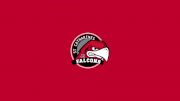 St. Catharines Falcons