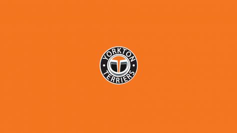 Yorkton Terriers