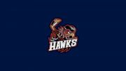 Winchester Hawks