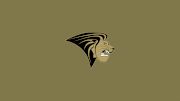 Lindenwood Women's Hockey