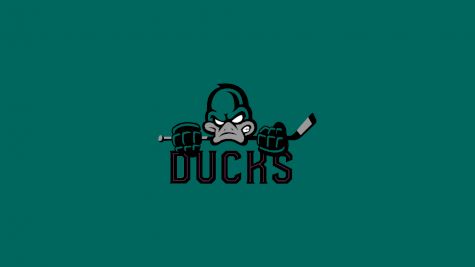 Dells Ducks (USPHL PREMIER)