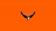 Las Vegas Thunderbirds (USPHL PREMIER)