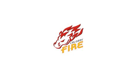 Calgary Fire Black U15 AA (G)