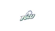 D3 Florida Gulf Coast Univ. Men's Club Hockey