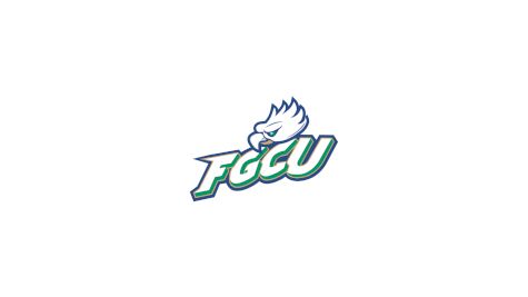 D3 Florida Gulf Coast Univ. Men's Club Hockey