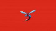 Delaware State Women's Lacrosse