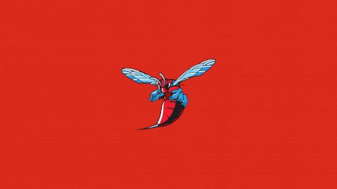 Delaware State Women's Lacrosse