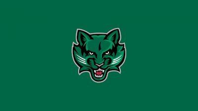 Binghamton Baseball