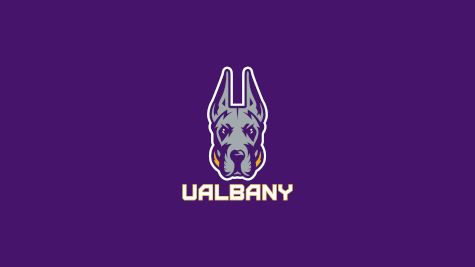 UAlbany Baseball
