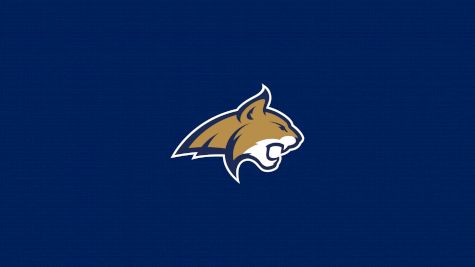 Montana State Football