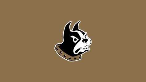 Wofford Women's Lacrosse