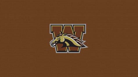 Western Michigan Baseball