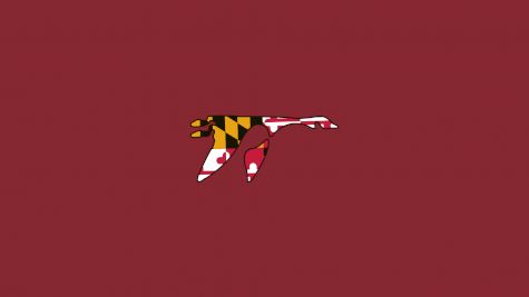 Washington College (Maryland) Men's Lacrosse