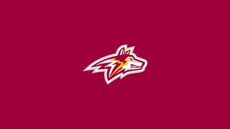 Alvernia University Women's Volleyball