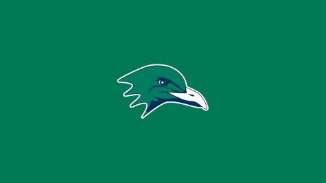 Endicott College Men's Soccer