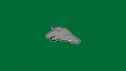 Eastern New Mexico Football