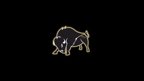 Harding University Women's Basketball