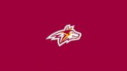 Alvernia University Football
