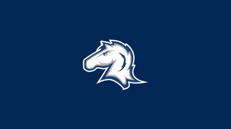 Hillsdale  Women's Volleyball