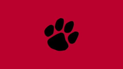 Frostburg State  Men's Basketball