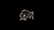 Harding University Football