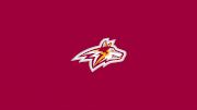 Alvernia University Men's Basketball