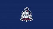 New England College Softball