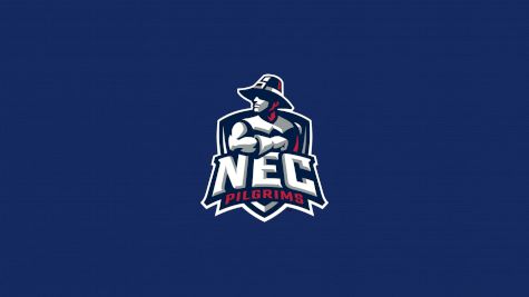 New England College Softball