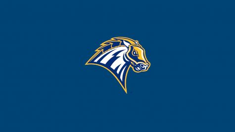 New Haven  Women's Basketball