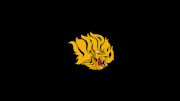 Arkansas-Pine Bluff Football