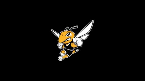 American International  Women's Lacrosse