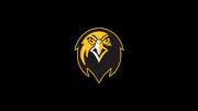 Pfeiffer  Women's Volleyball