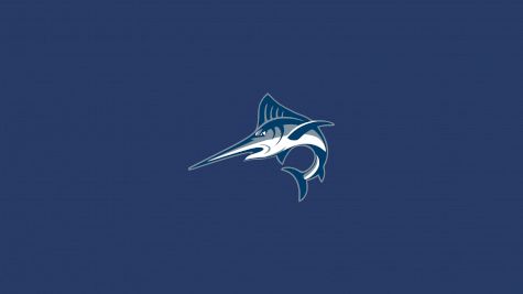 Virginia Wesleyan  Men's Lacrosse