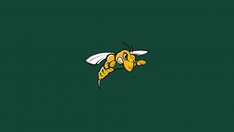 Black Hills State Football