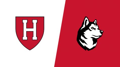 2019 Harvard vs Northeastern | CAA Men's Basketball