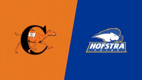 2019 Campbell vs Hofstra | CAA Women's Basketball