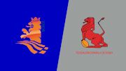 2021 Netherlands XI vs Spain