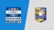 2022 Auckland vs Bay of Plenty