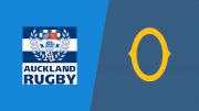 2022 Auckland vs Otago