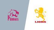 2022 Pumas vs Golden Lions