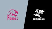 2022 Pumas vs Sharks