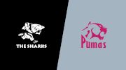 2022 Sharks vs Pumas