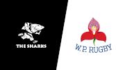 2022 Sharks vs Western Province