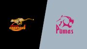 2022 Free State Cheetahs vs Pumas