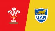 2022 Wales vs Argentina