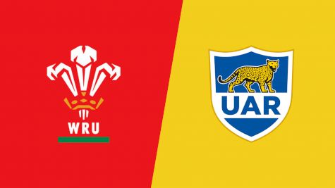 2022 Wales vs Argentina