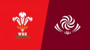 2022 Wales vs Georgia
