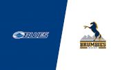 2022 Blues vs Brumbies Rugby